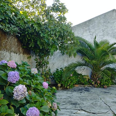 Cle House Villa Anadia Dış mekan fotoğraf