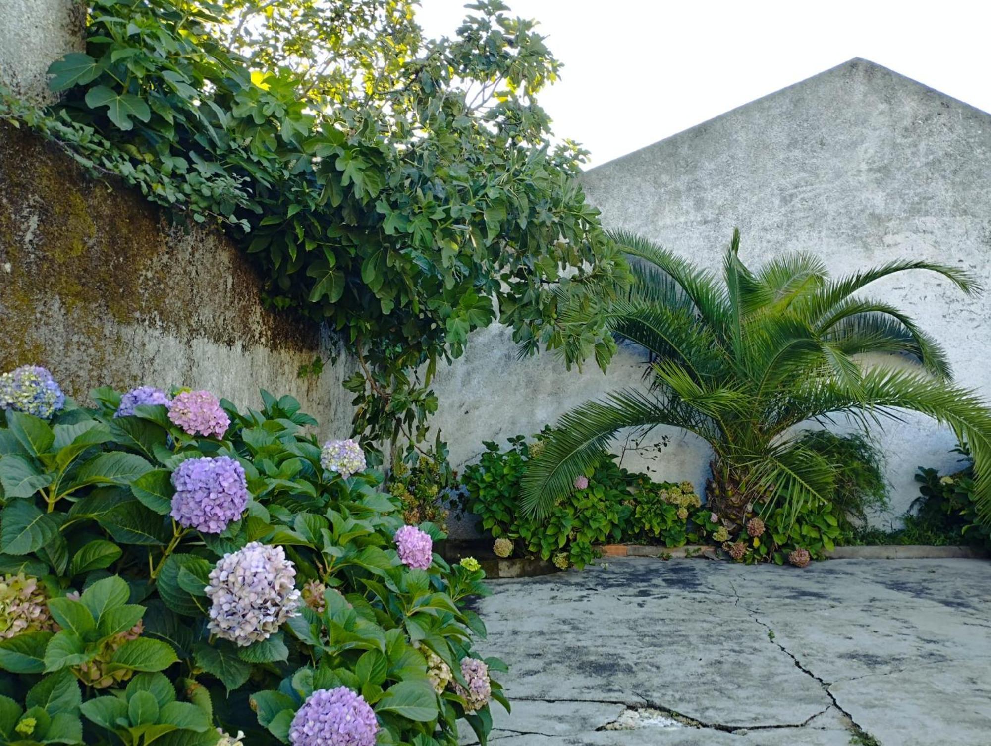 Cle House Villa Anadia Dış mekan fotoğraf